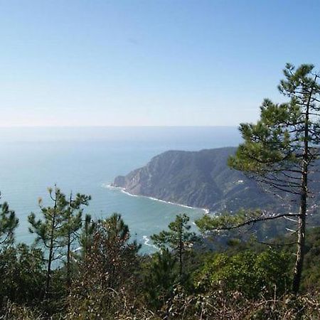 Trekking And Relax - Maremonti - Homy 5 Terre Διαμέρισμα Βερνάτσα Εξωτερικό φωτογραφία